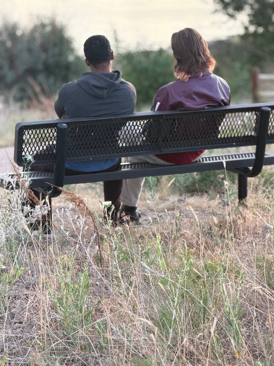 Two men on a park bench seen from behind overlooking the landscape